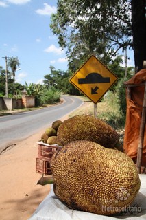 BRUMADINHO