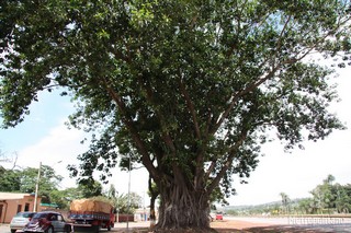 SÃO JOAQUIM DE BICAS